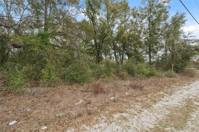 16308 Shady Hills Rd, Spring Hill, FL 34610