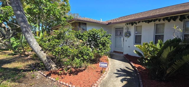 view of exterior entry featuring stucco siding