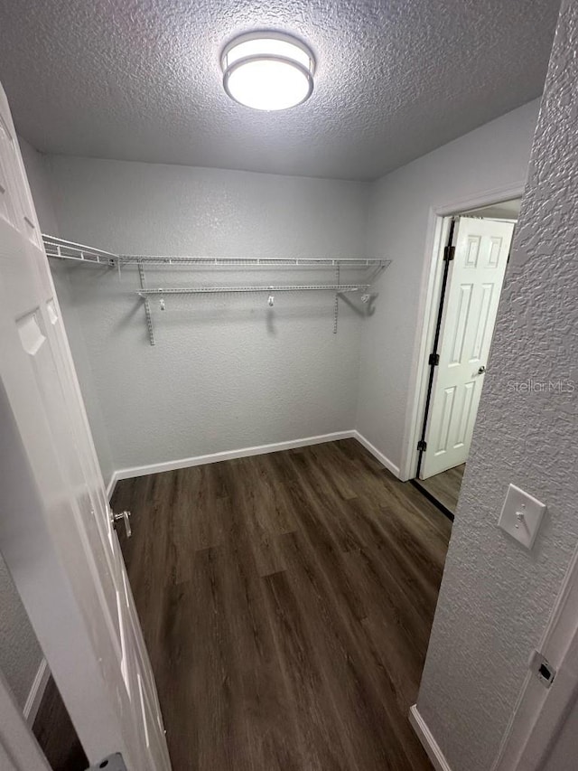 walk in closet with dark wood-style flooring