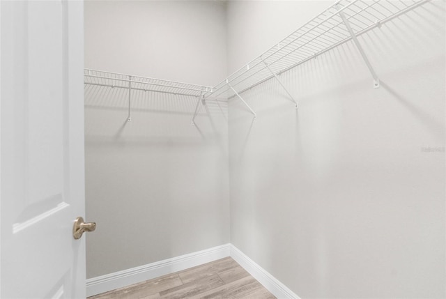 walk in closet with wood finished floors