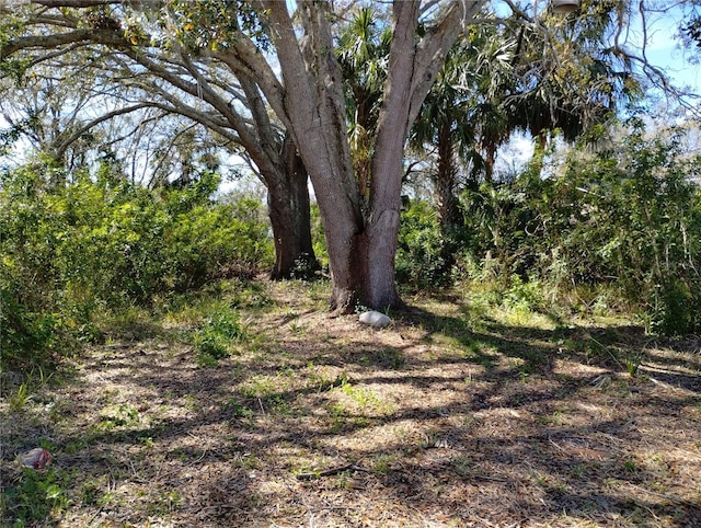 0 Belah Dr Lot # 8, New Port Richey FL, 34653 land for sale