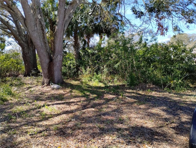 Listing photo 2 for 0 Belah Dr Lot # 8, New Port Richey FL 34653