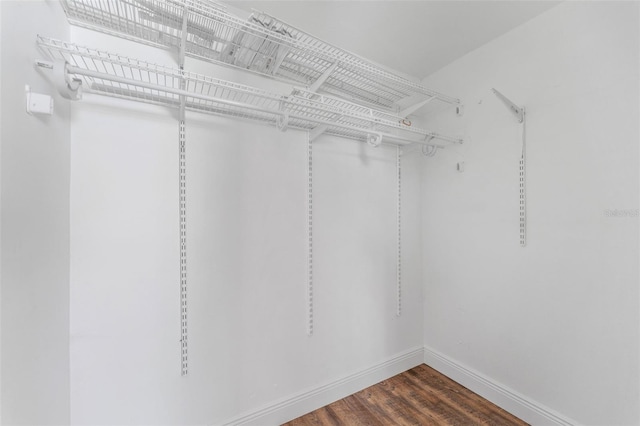 walk in closet featuring dark wood-style flooring