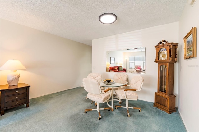 sitting room featuring a textured ceiling and carpet flooring