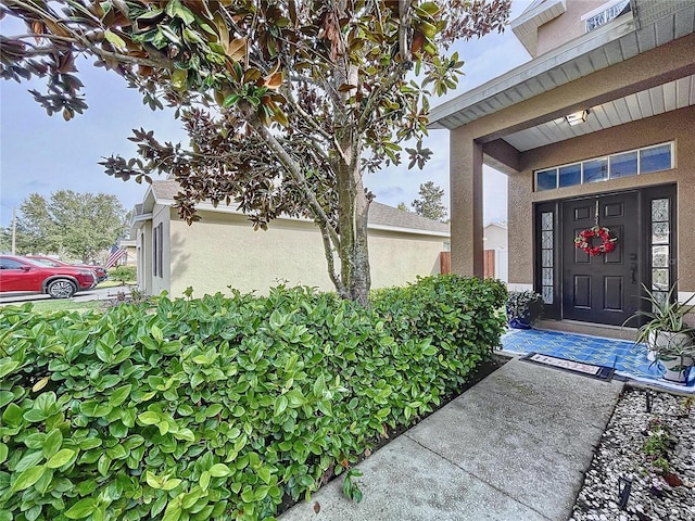 property entrance featuring stucco siding