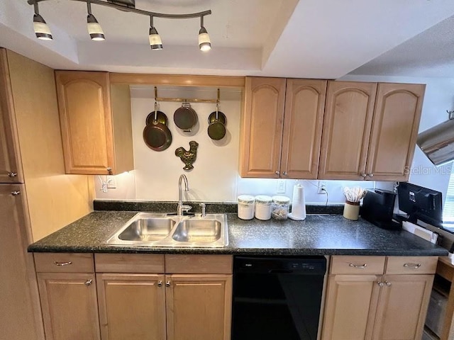 kitchen with dishwasher and a sink