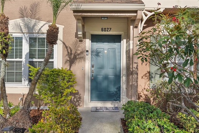 view of exterior entry featuring stucco siding