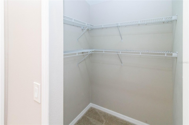 spacious closet with carpet flooring