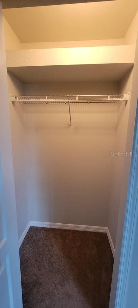 spacious closet with carpet flooring