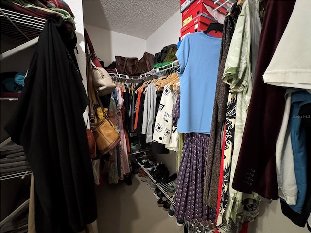 view of walk in closet