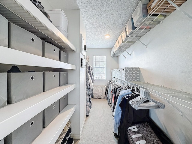 spacious closet featuring light carpet