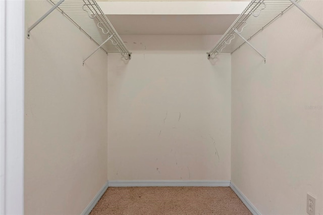 walk in closet with light colored carpet