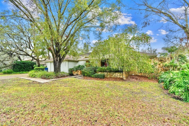 view of property hidden behind natural elements with a garage, stucco siding, and a front yard