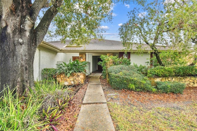 view of front of property with stucco siding