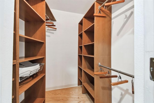 spacious closet featuring light wood-style floors