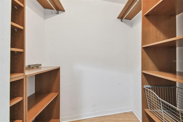 spacious closet featuring light wood finished floors