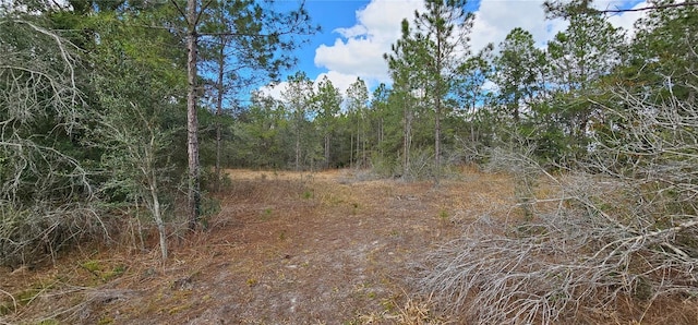 view of local wilderness