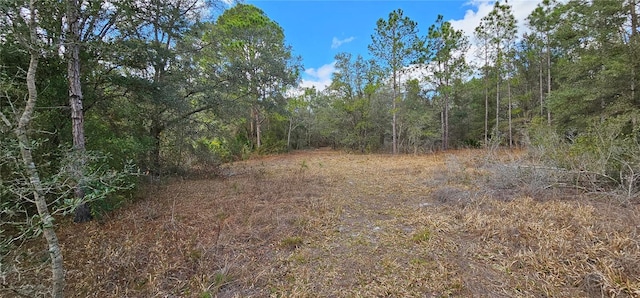 view of local wilderness featuring a view of trees