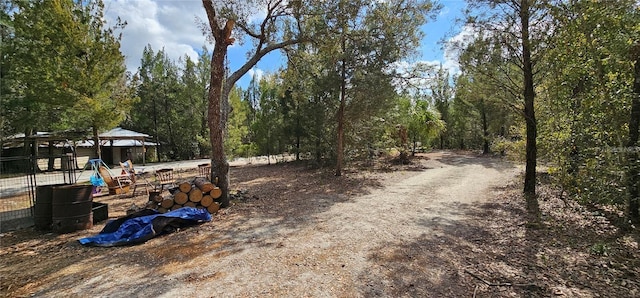 11617 Duda Rd, Hudson, FL 34667 - view of yard with a wooded view