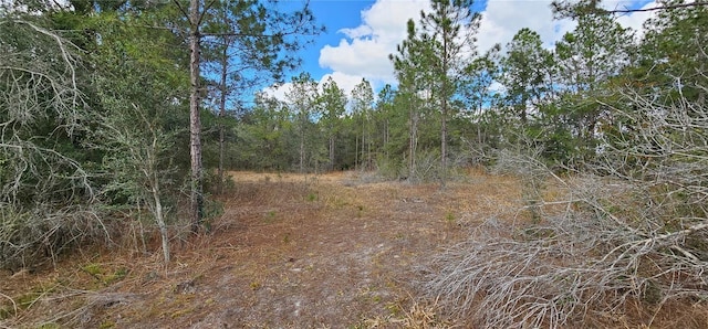 11617 Duda Rd, Hudson, FL 34667 - view of undeveloped land