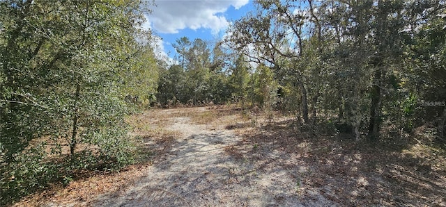 11617 Duda Rd, Hudson, FL 34667 - view of wooded area