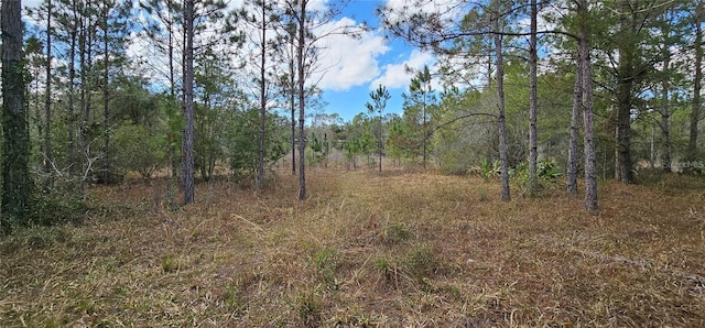 17932 Wendy Sue Ave, Hudson, FL 34667 - view of tree filled area