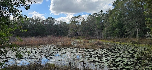 17932 Wendy Sue Ave, Hudson, FL 34667 - water view with a heavily wooded area