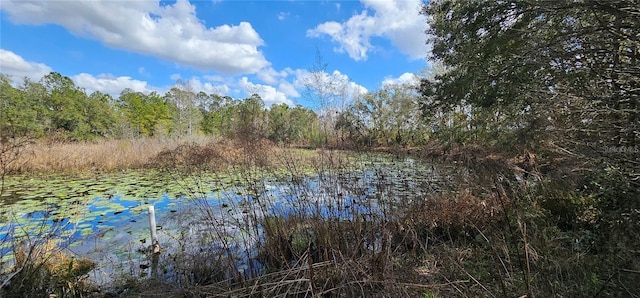 17932 Wendy Sue Ave, Hudson, FL 34667 - water view with a forest
