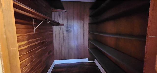 17932 Wendy Sue Ave, Hudson, FL 34667 - view of spacious closet