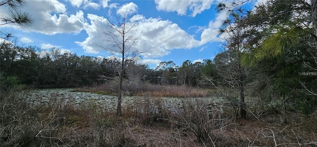 17932 Wendy Sue Ave, Hudson, FL 34667 - water view featuring a heavily wooded area