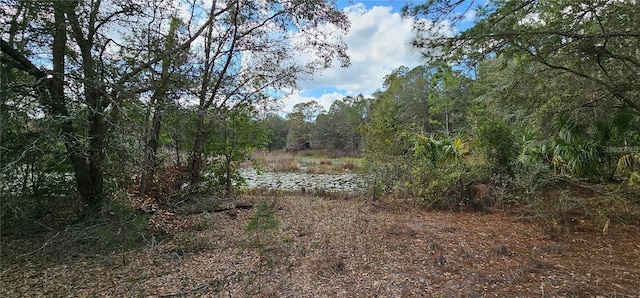 17932 Wendy Sue Ave, Hudson, FL 34667 - view of woods