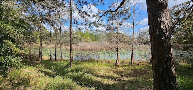 17932 Wendy Sue Ave, Hudson, FL 34667 - water view with a heavily wooded area
