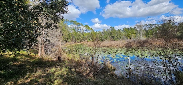 17932 Wendy Sue Ave, Hudson, FL 34667 - water view with a forest