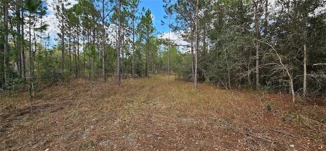 17932 Wendy Sue Ave, Hudson, FL 34667 - view of woods