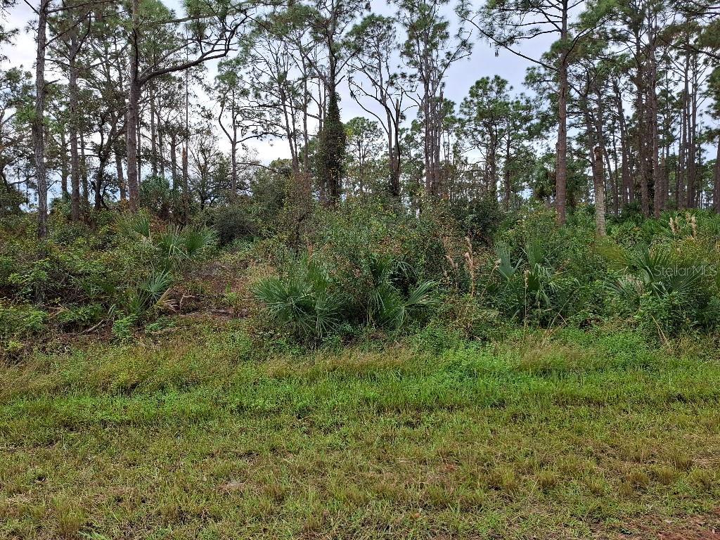 12105 Gahan Ave, Port Charlotte, FL 33953