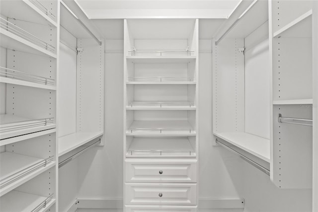 view of spacious closet