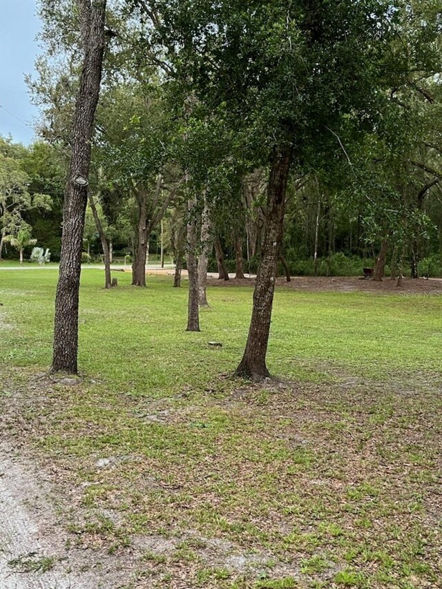 16347 Albright Rd, Spring Hill, FL 34610