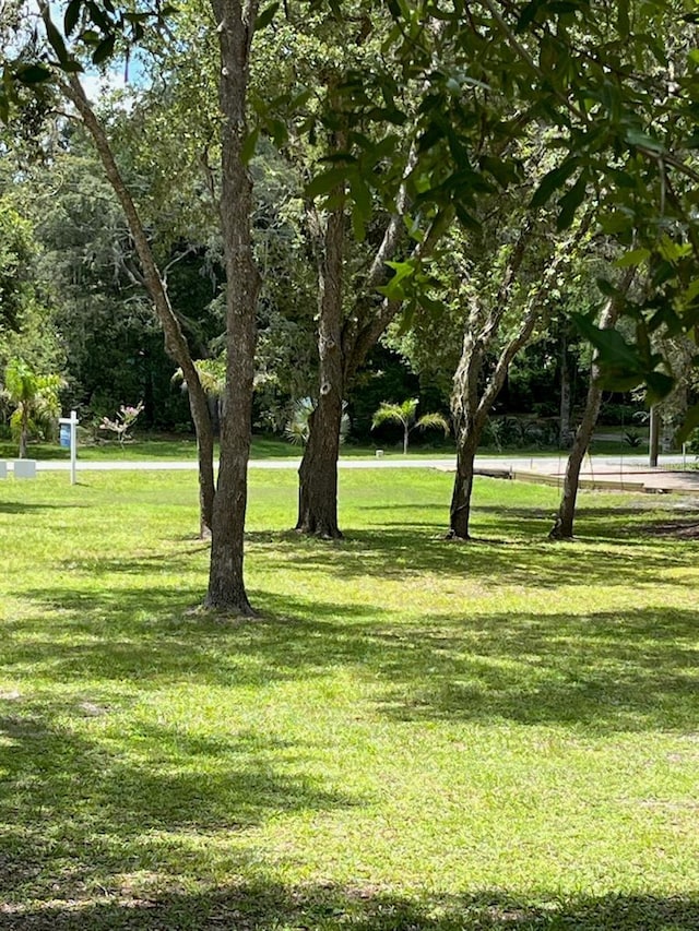 16347 Albright Rd, Spring Hill, FL 34610