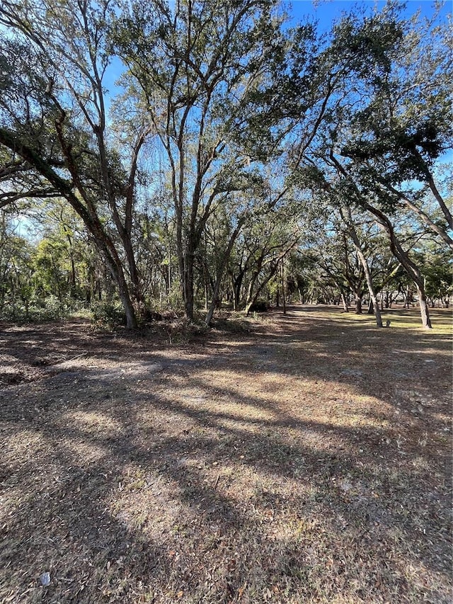 16347 Albright Rd, Spring Hill, FL 34610