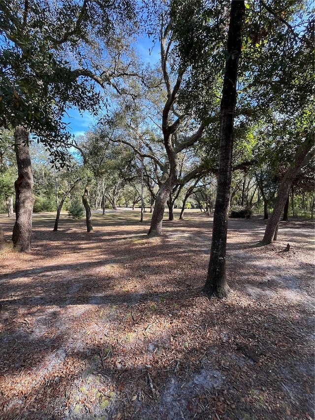 16347 Albright Rd, Spring Hill, FL 34610