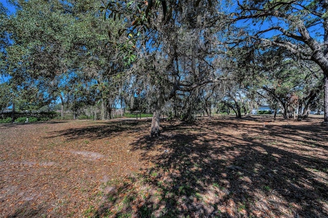 1134 Bellamare Trl, Trinity FL, 34655 land for sale