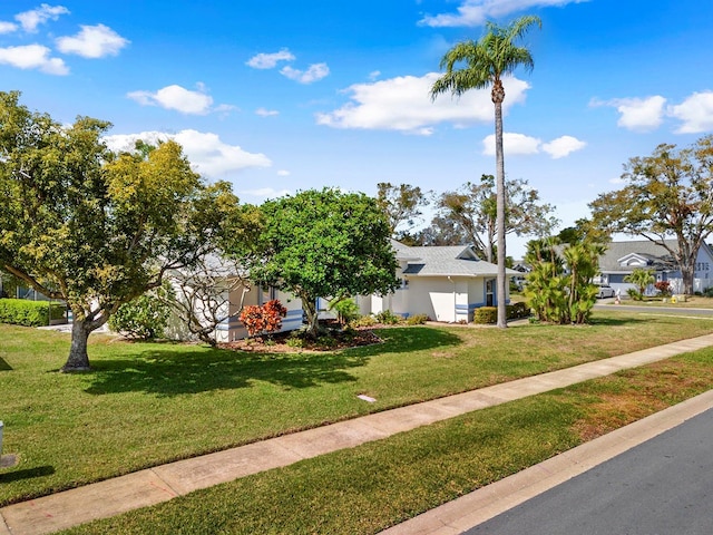 view of property hidden behind natural elements featuring a front lawn and stucco siding