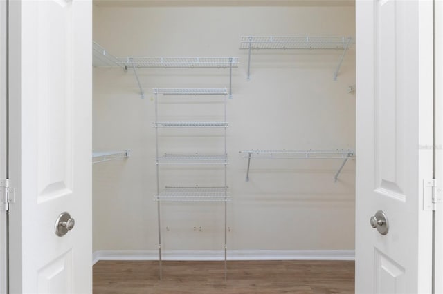 spacious closet featuring wood finished floors