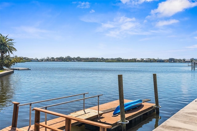 dock area with a water view