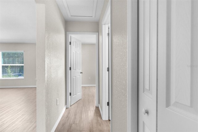 hallway featuring a textured wall, light wood-style flooring, and baseboards