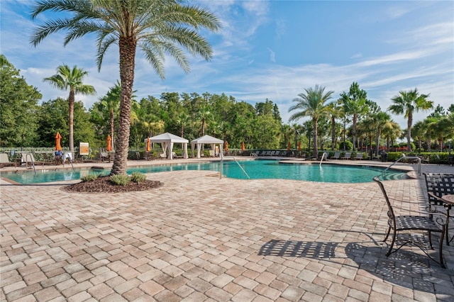 3130 Forsythia Dr, Odessa, FL 33556 - community pool featuring a gazebo, a patio, and view of wooded area