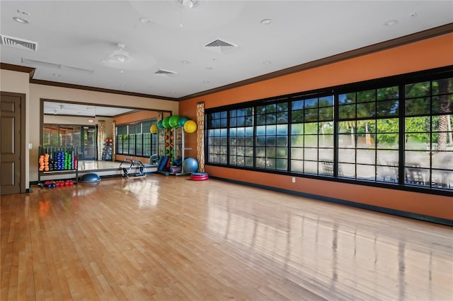 3130 Forsythia Dr, Odessa, FL 33556 - exercise area with crown molding and wood finished floors