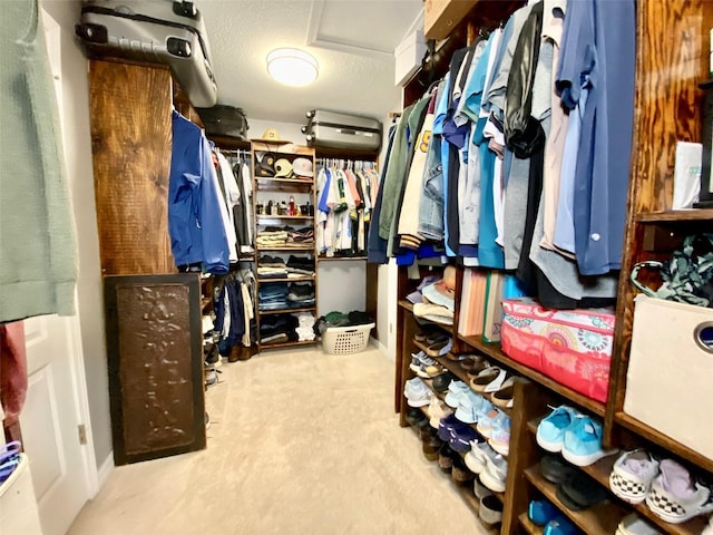 walk in closet with carpet and attic access