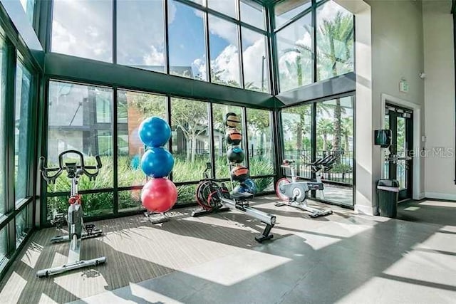 workout area featuring a high ceiling and a wall of windows