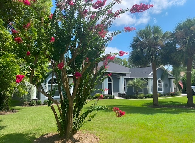 obstructed view of property with a front yard